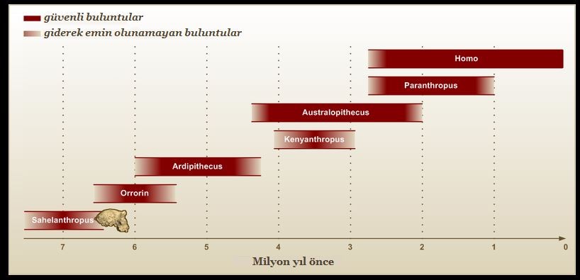 Source : Wikipedia / 20090322_Zeittafel_der_Gattung_Homo.png